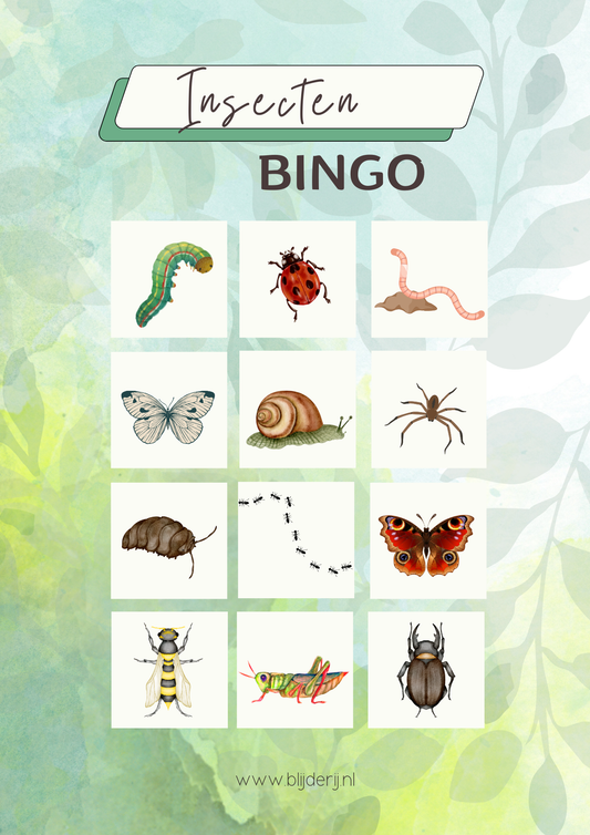 Insecten bnigo